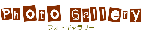 フォトギャラリータイトル